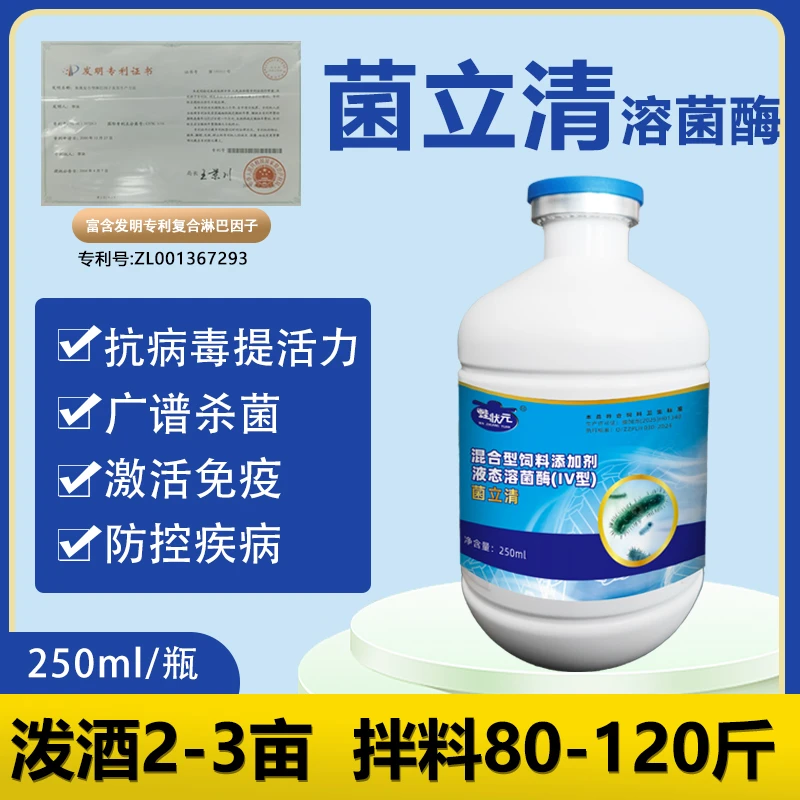 蛙状元菌立清溶菌酶杀菌抗病毒蝌蚪期黑斑蛙牛蛙腐皮歪白红腿红肚