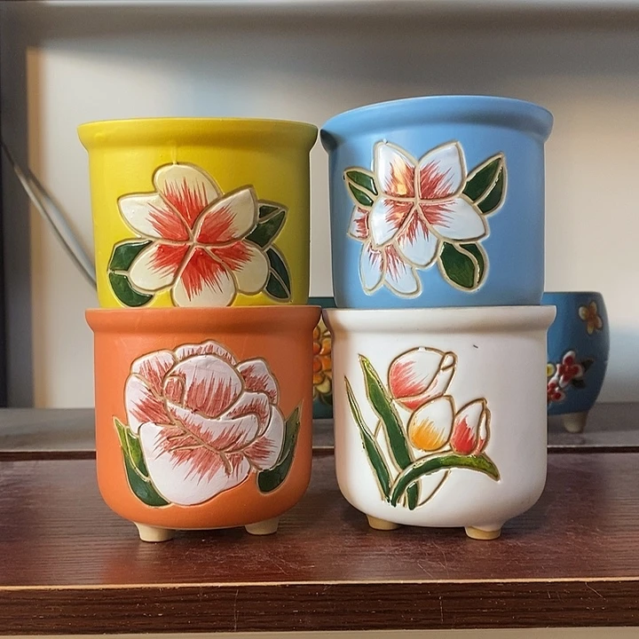 韩式多肉植物花盆