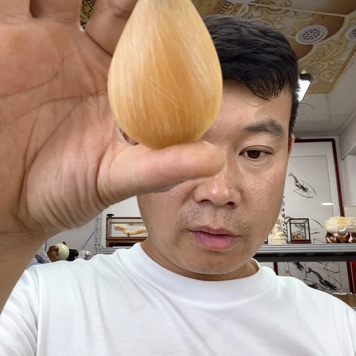 大果紫檀（缅甸花梨）2117