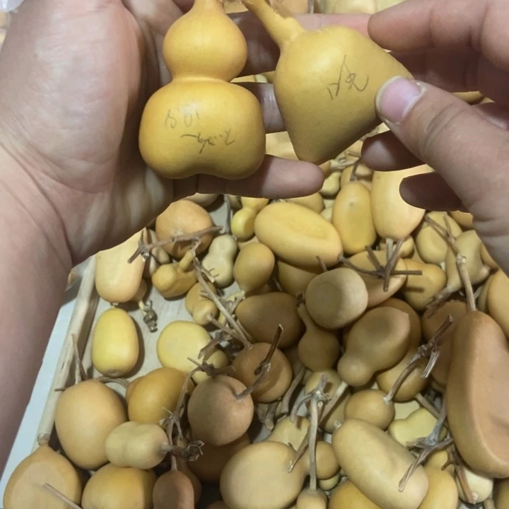 不***晚不晚不晚不晚不晚