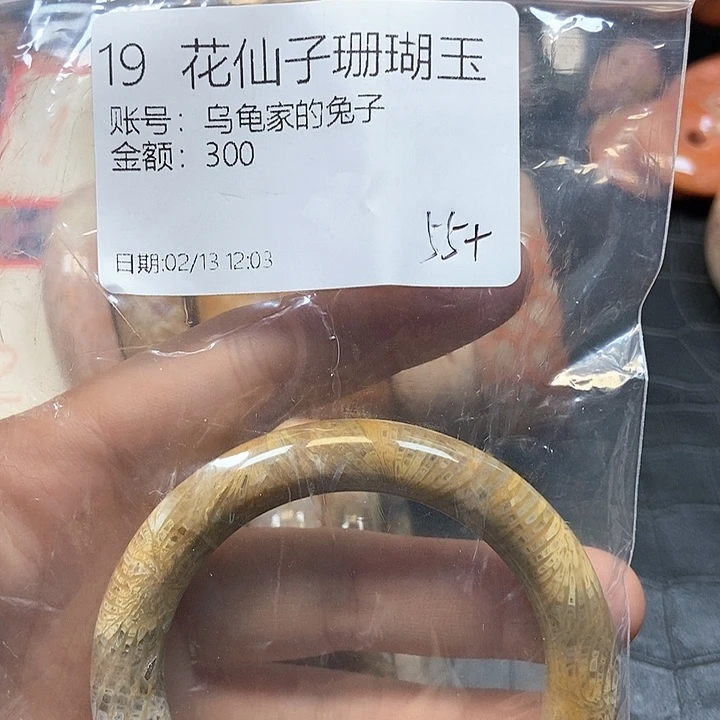 硅化珊瑚（珊瑚玉）手镯未镶嵌乌****子19