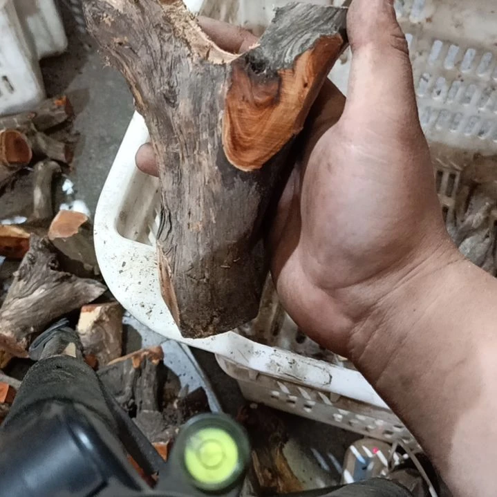 李***涛大果紫檀（缅甸花梨）