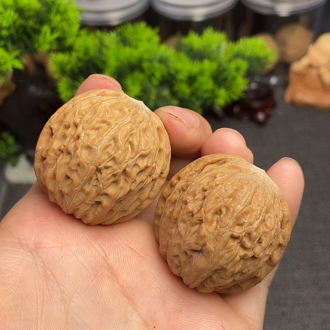 核桃铁锤妹妹38尺寸编号7751