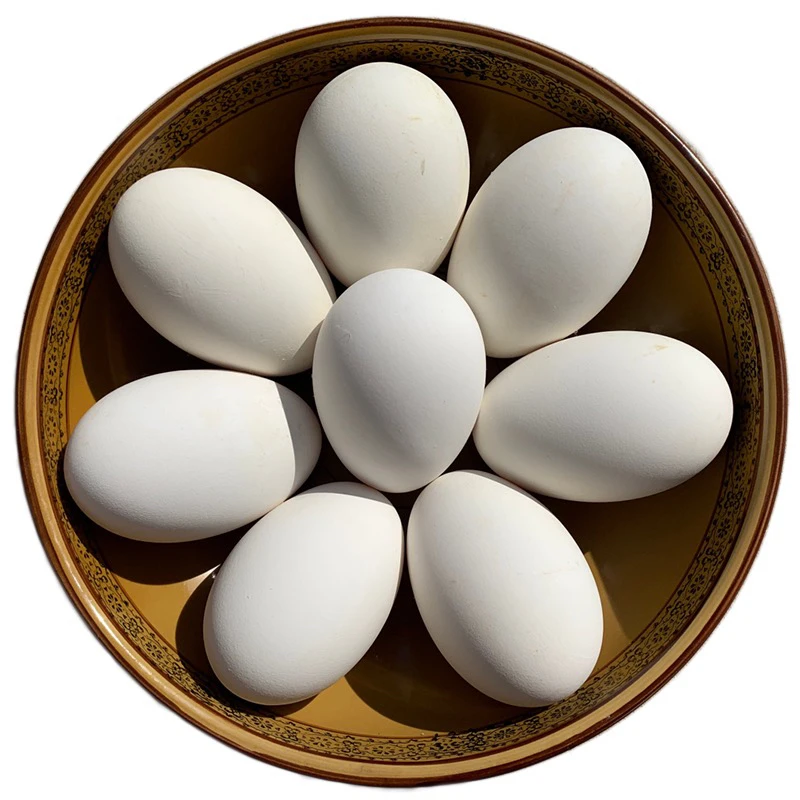 新鲜散养鹅蛋单枚重120g左右孕妇孩子中年适用破损包赔