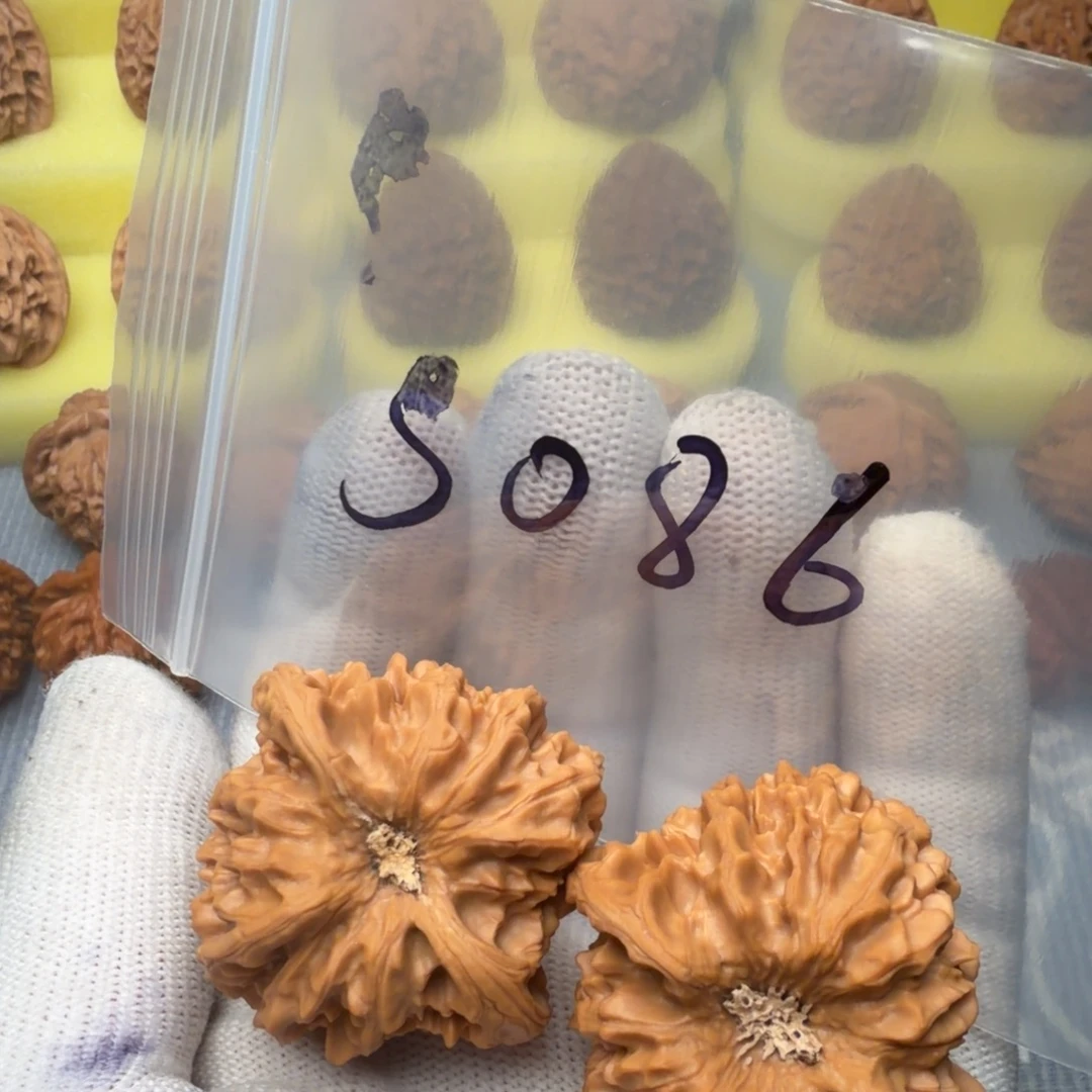 文玩核桃吊坠全品龙门箭41