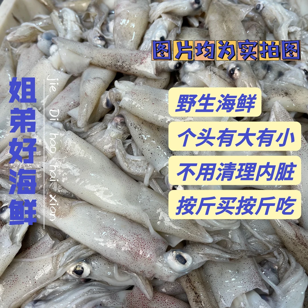 D【推荐白灼】原浆海兔约15只/斤【通货有大小少籽】3斤+1斤试吃
