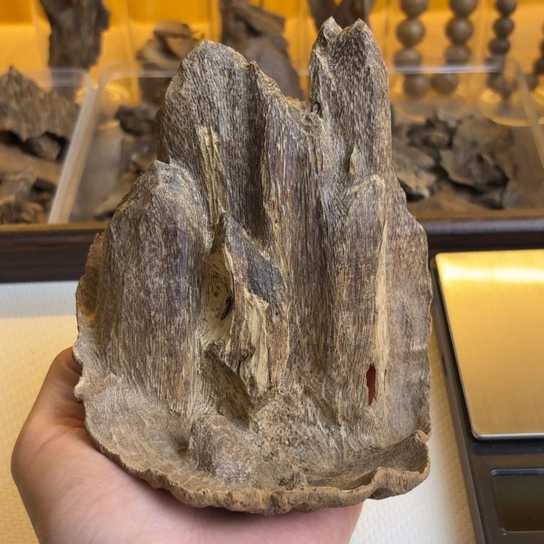 海南尖峰岭大山壳子料25.6克