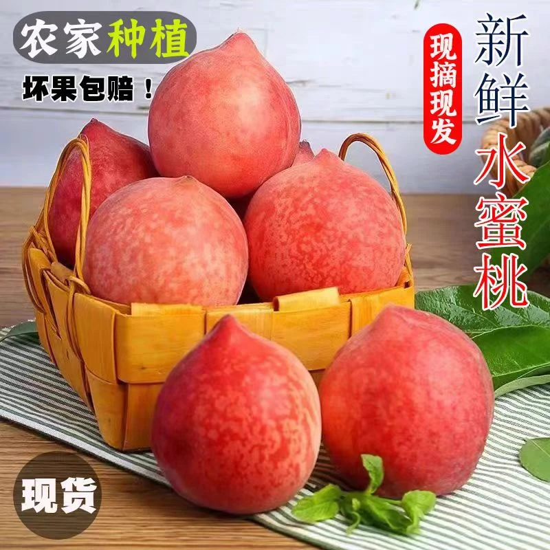2025年新鲜春雪水蜜桃现摘现发毛桃软桃孕妇当季水果脆甜软甜多汁