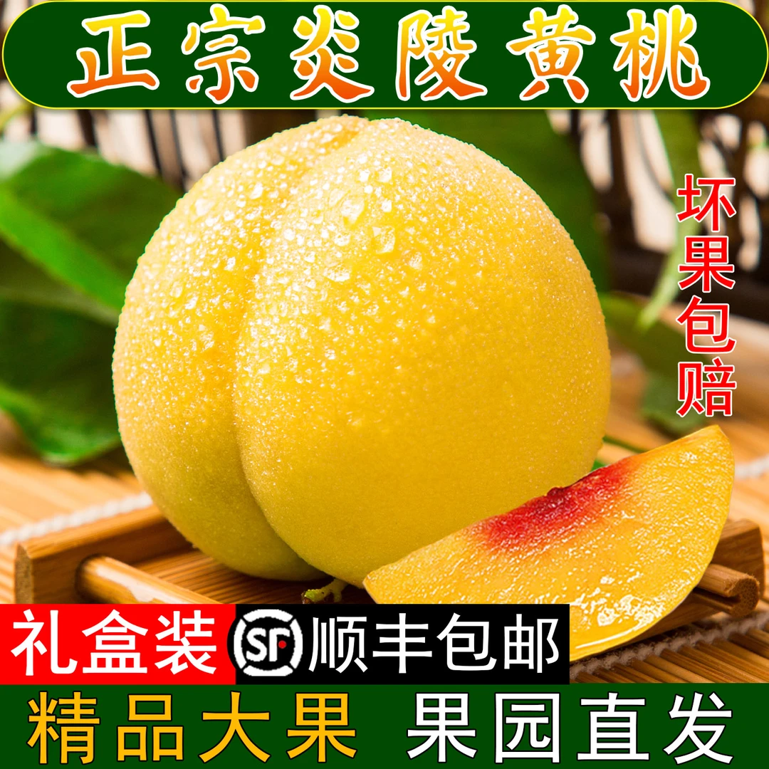 【黄桃甄选】正宗炎陵黄桃新鲜水果5斤装【顺丰次日达】湖南省黄桃同城送湖南省