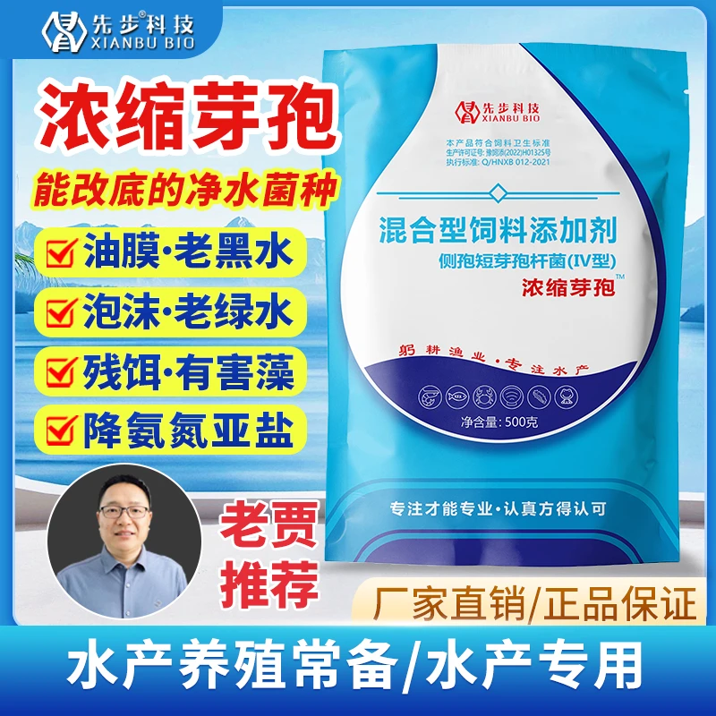 先步【浓缩芽孢】千亿浓缩芽孢杆菌水产养殖菌种稳定水产养殖用药