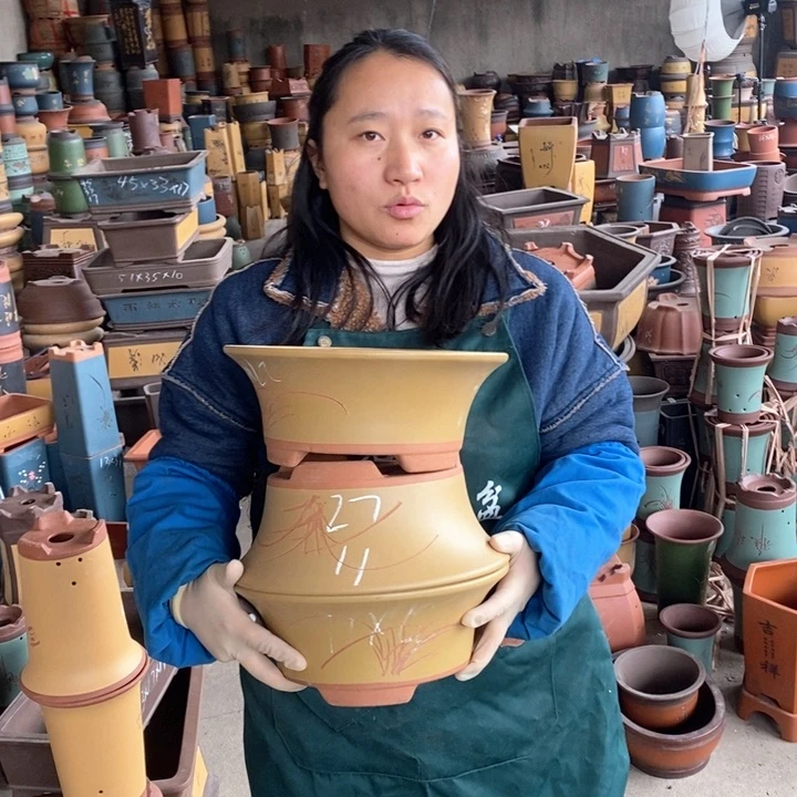 紫砂花盆盆栽花卉苗木种植