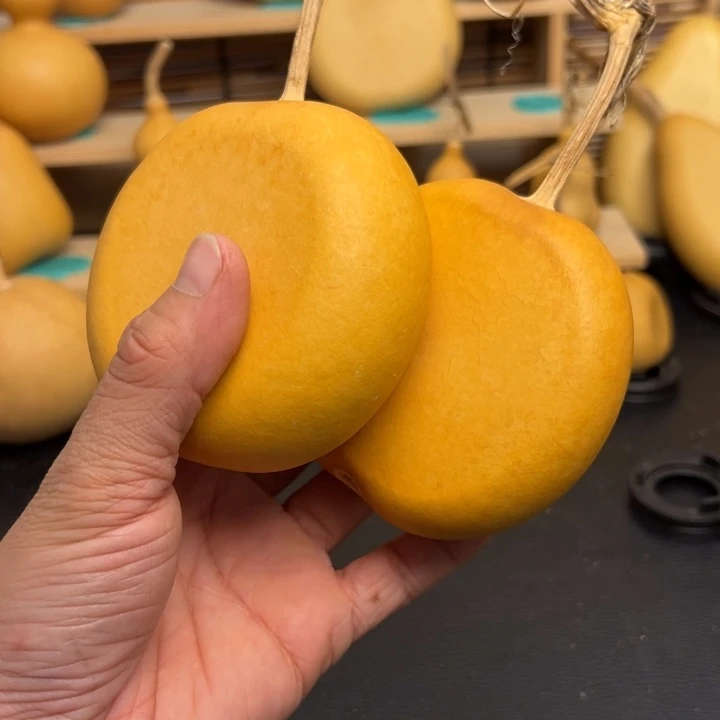 啊**噗2255555555566999