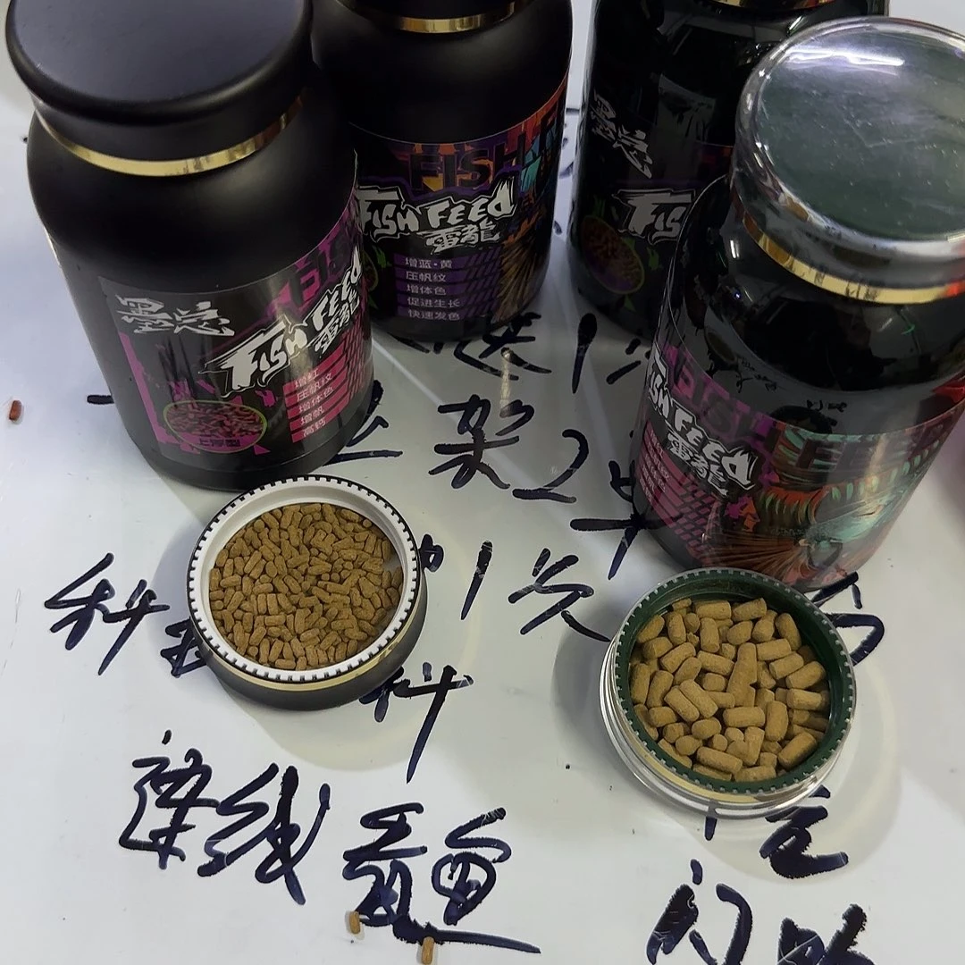 热带鱼公101111111111