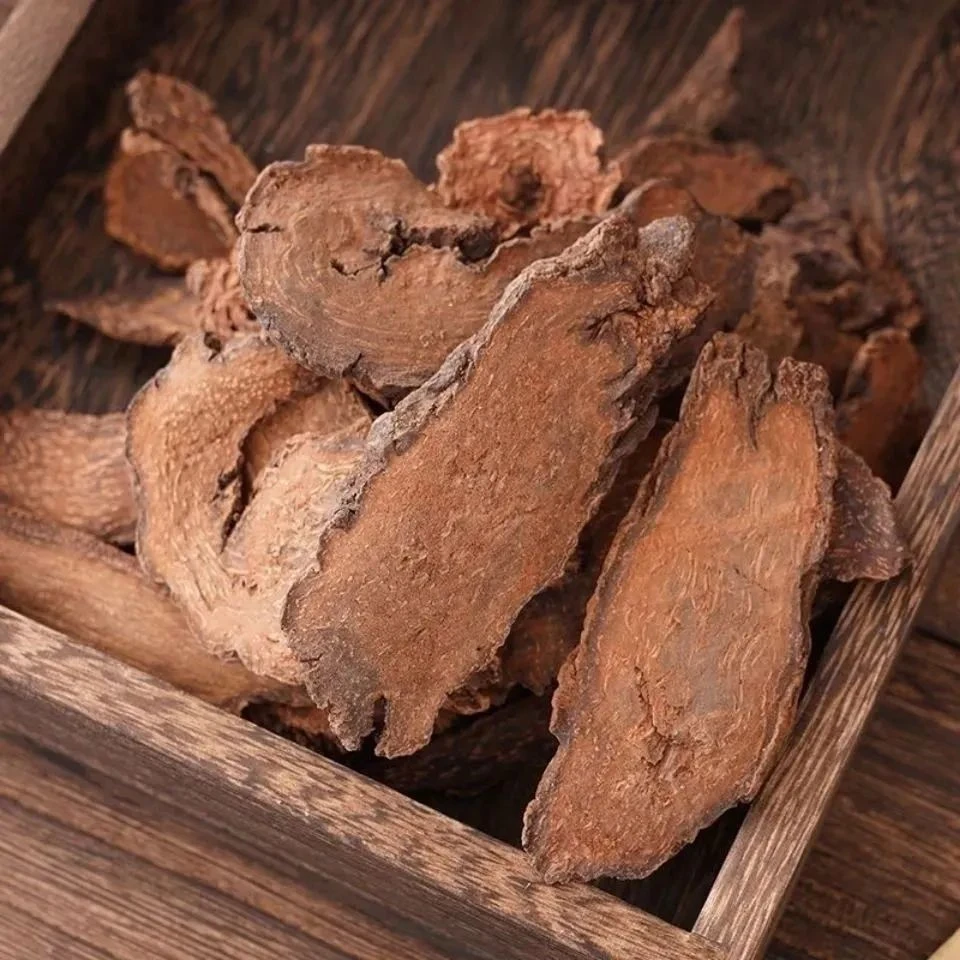 【金锁阳】道地本草内蒙啊啦善沙漠锁阳