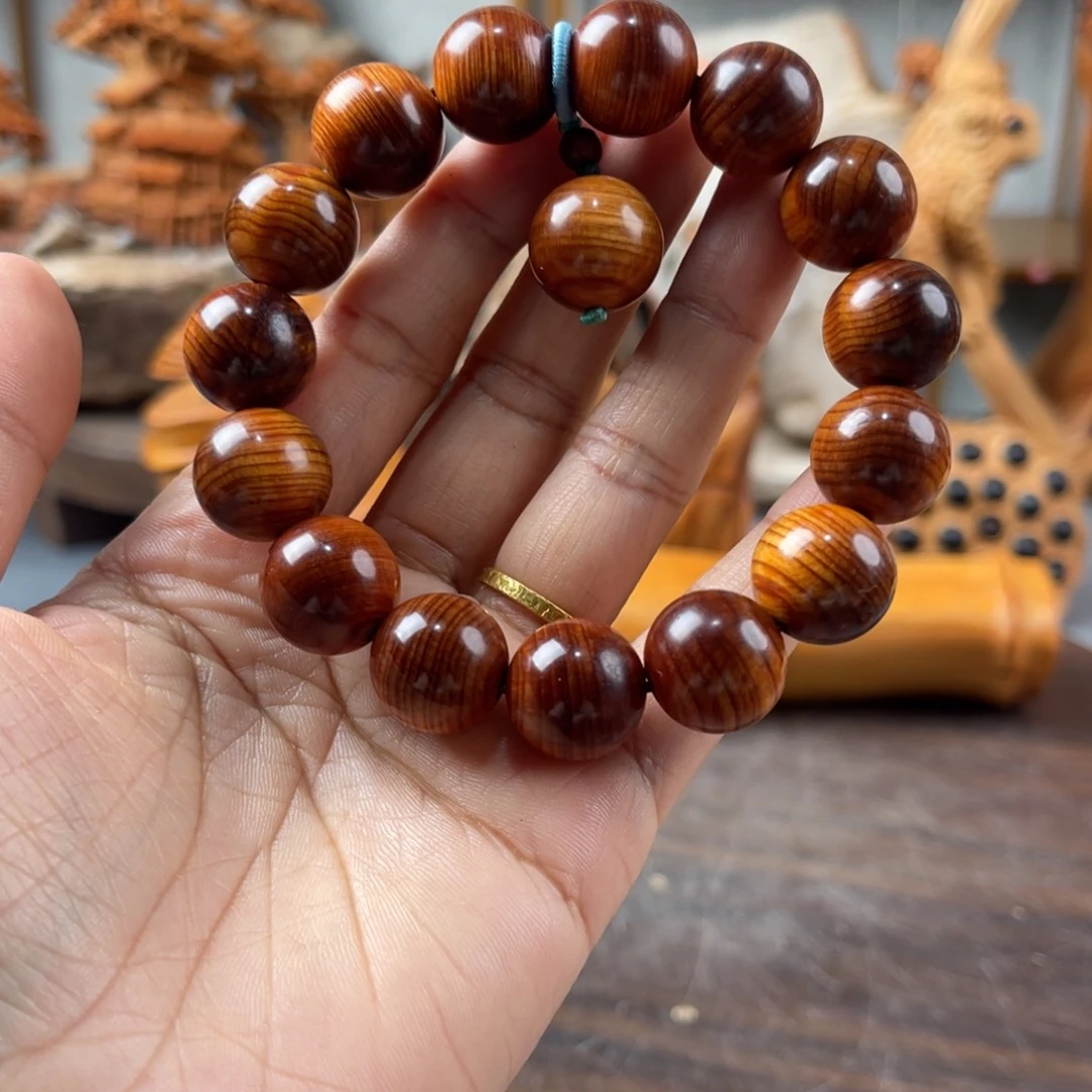 柏木（崖柏）太行山脉崖柏