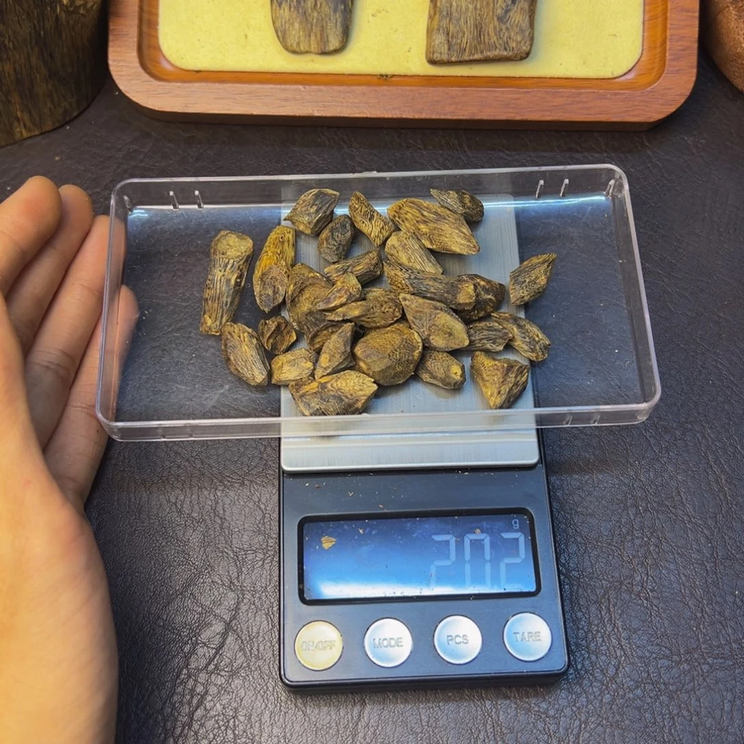 阳***燥沉香碎屑沉香树丁