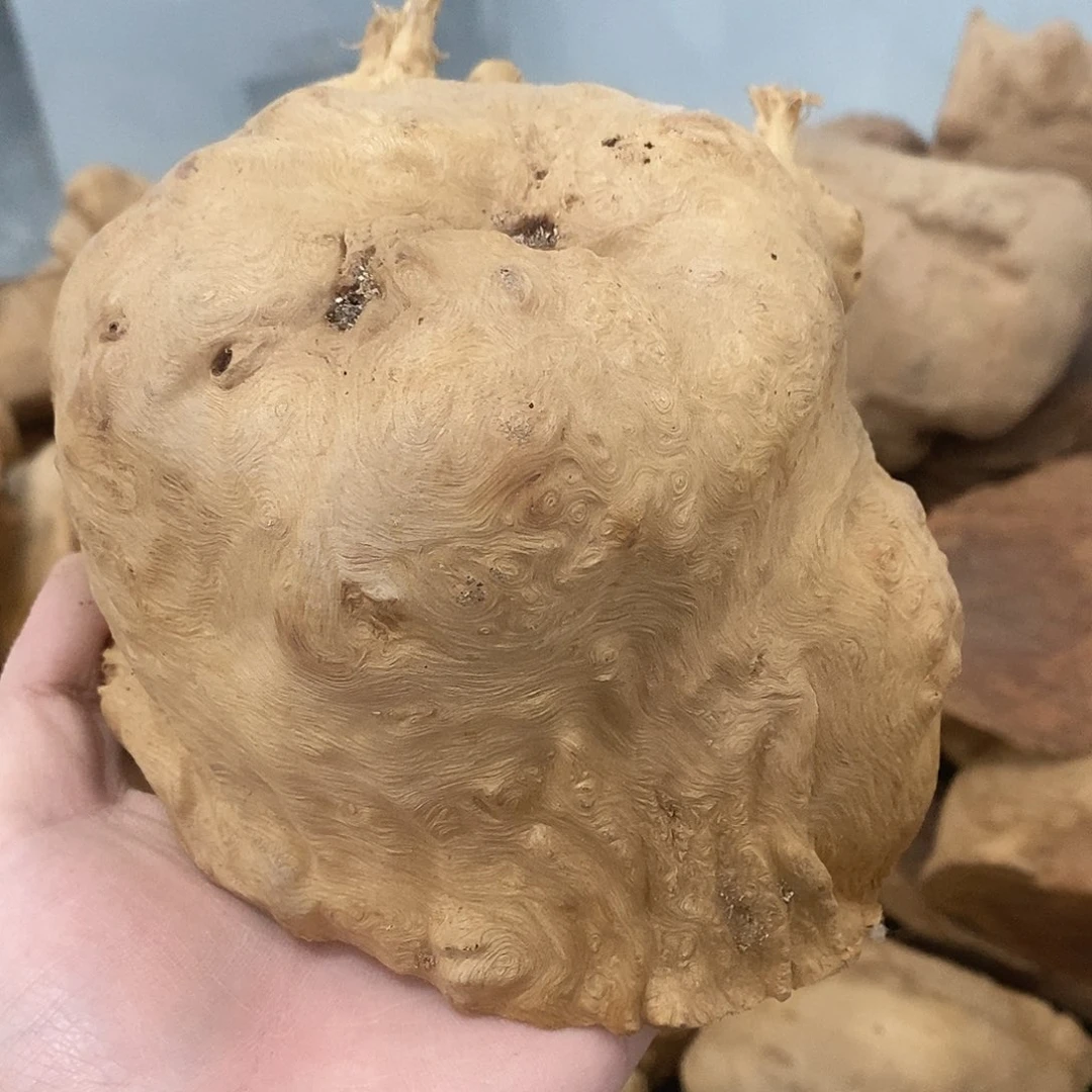 荔枝木泼*香荔枝木香炉