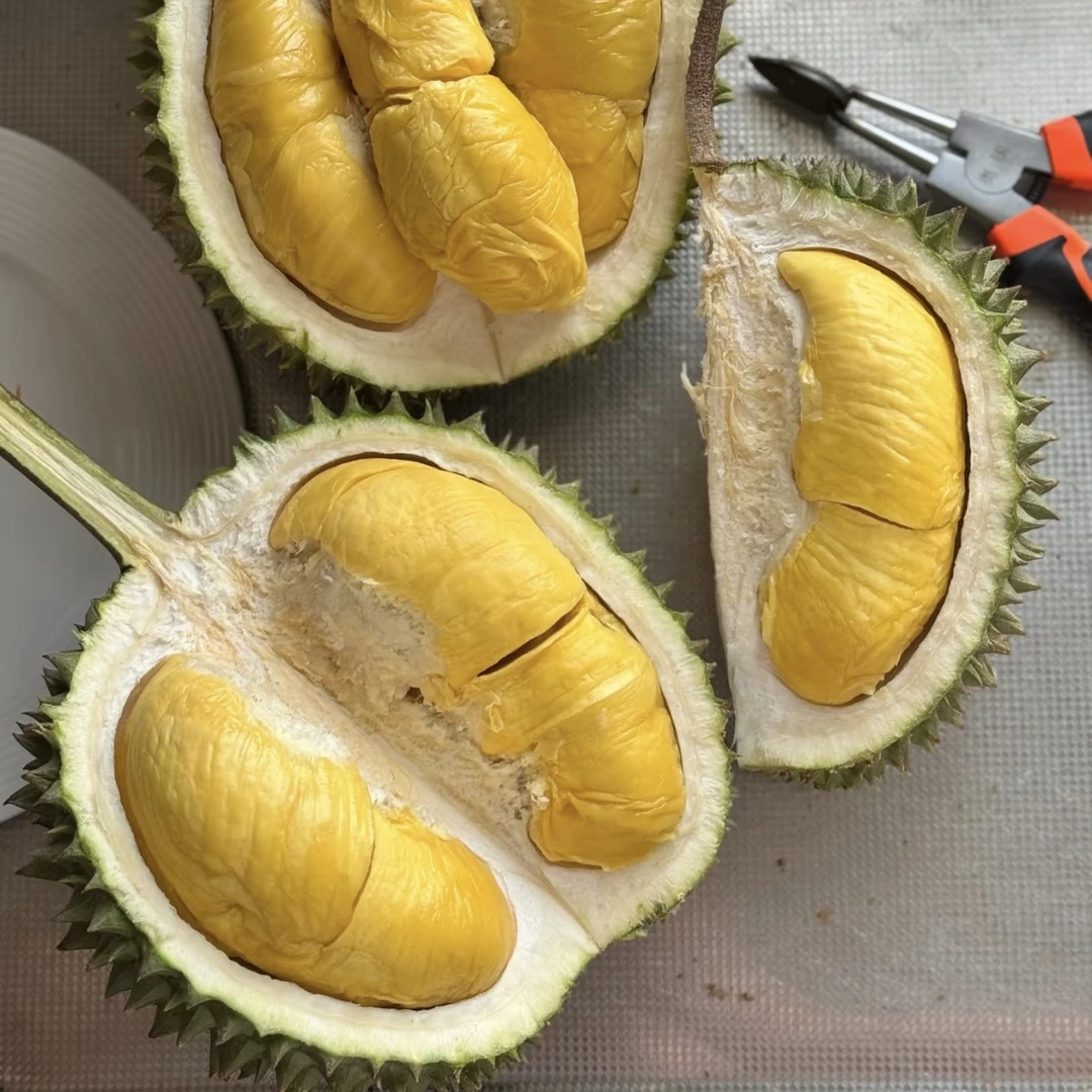 老树树熟新鲜马来西亚鲜猫山王核小1斤装果香浓郁苦后回甘猫山王马来西亚