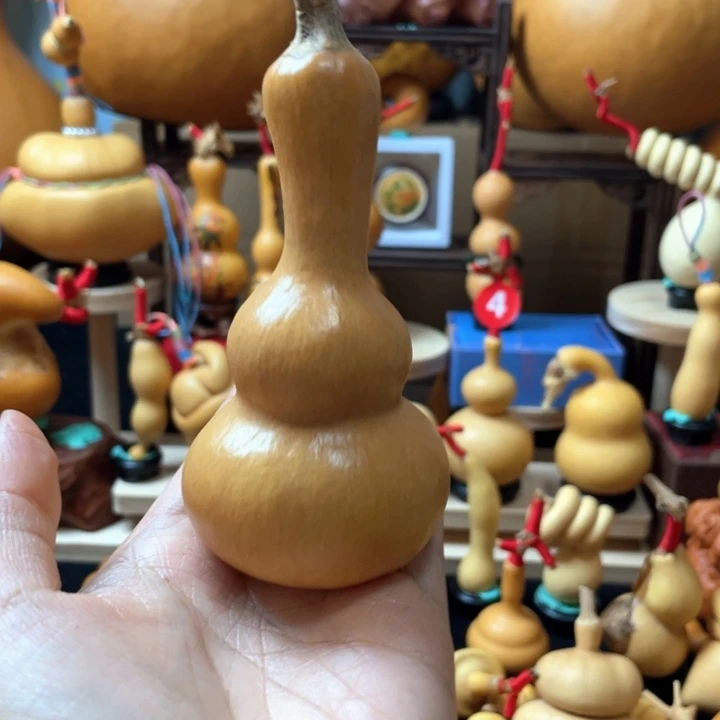 兔***王在于它可以成为更大更