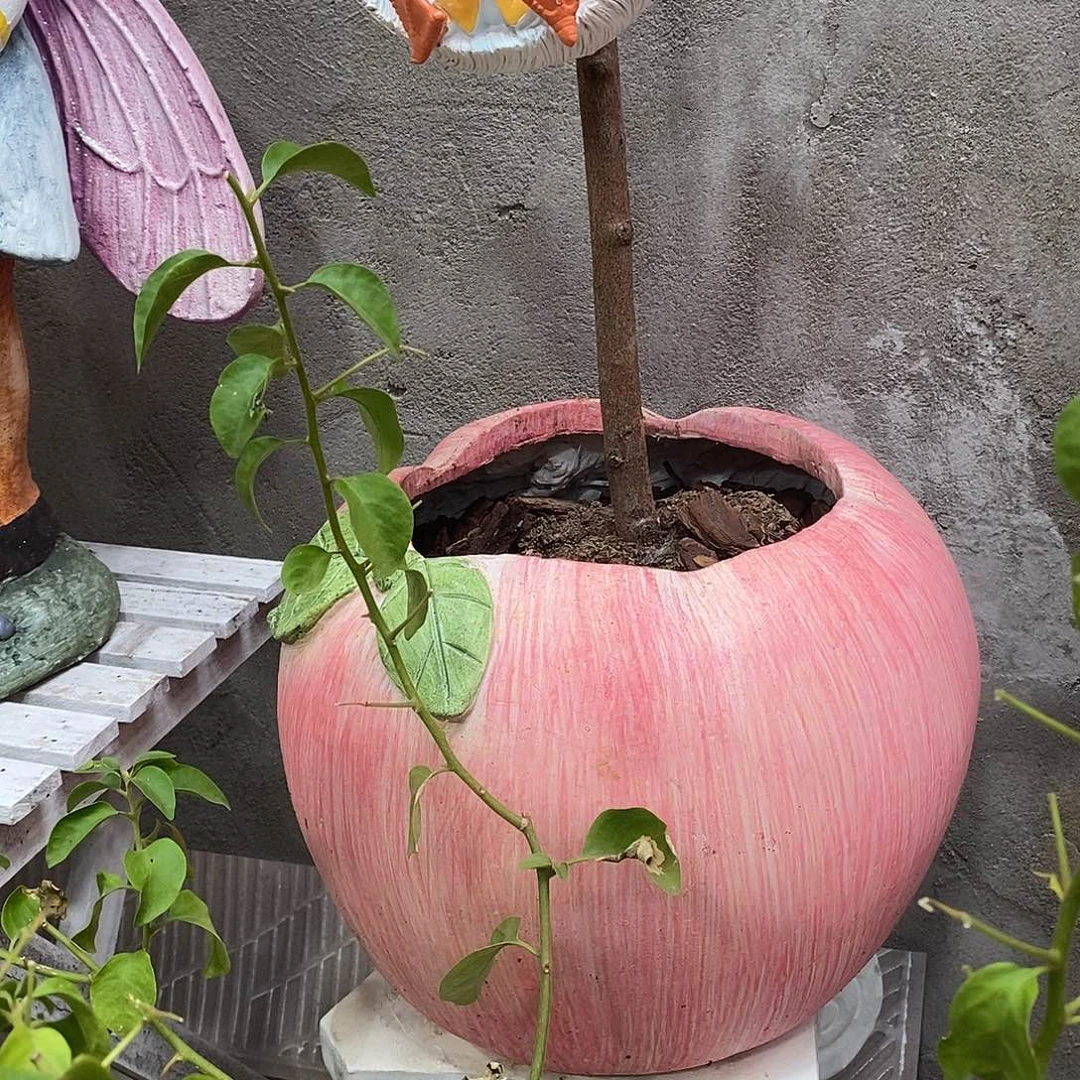 有机玻璃苹果花盆