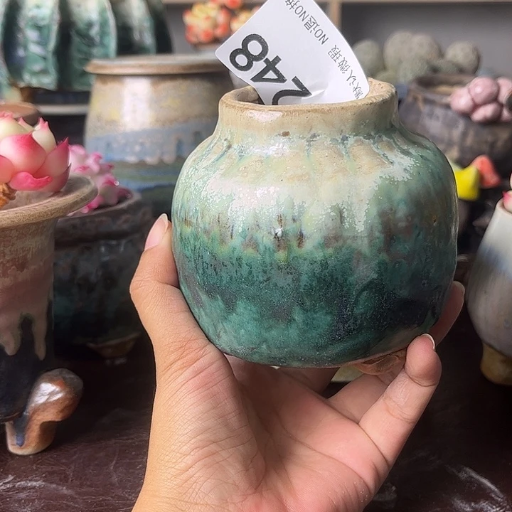 重庆小燕子欢迎大家248