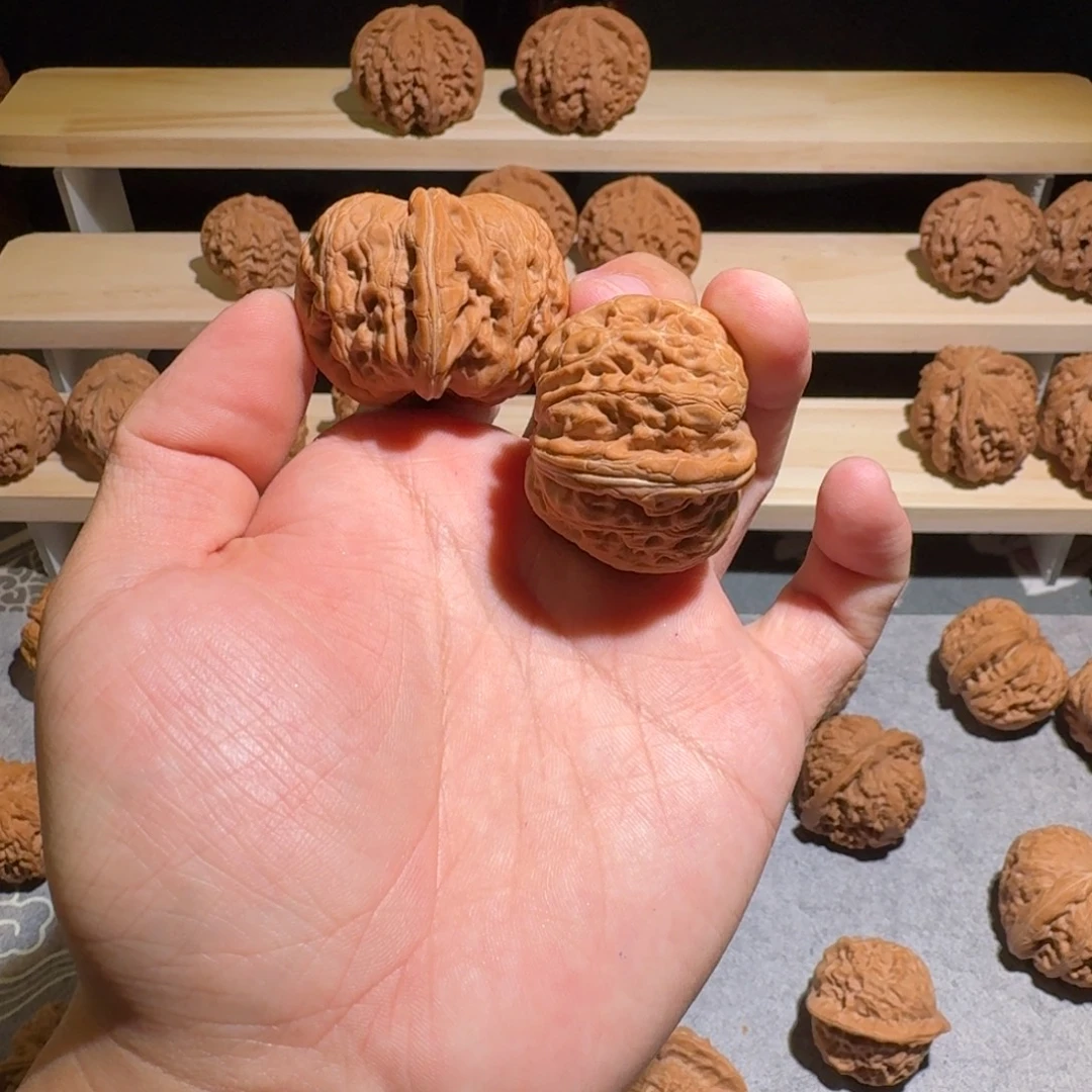 X***、大叶紫檀（黑酸枝木类）