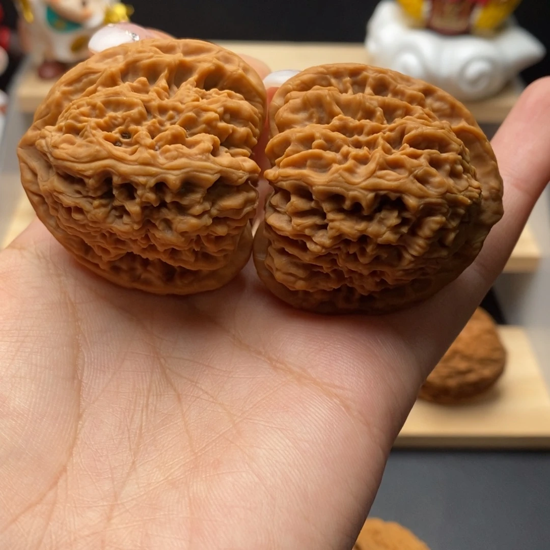 43.41.41大尺三角炮 涿鹿老树一代全品