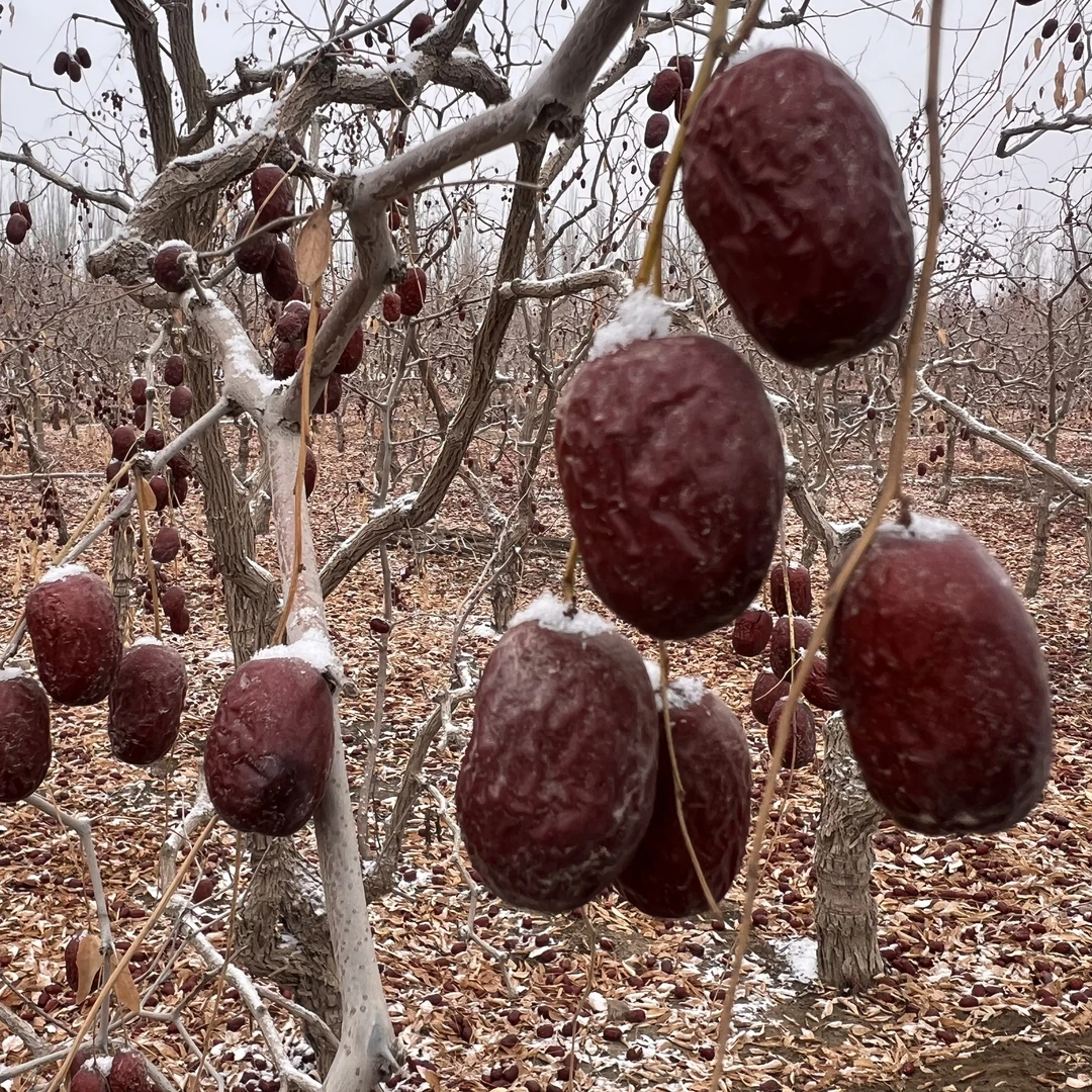 2024年小灰枣未清洗原生态净重3/5斤