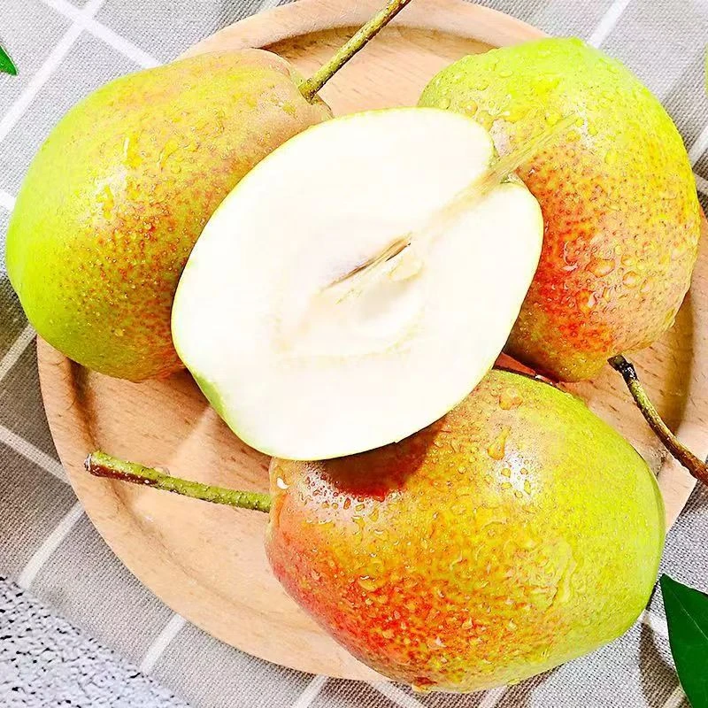 正宗红香酥梨脆甜多汁带箱3斤/单果80-120g梨子JD