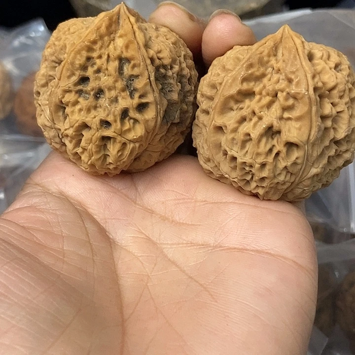 文玩核桃把件云南铁核桃基地40