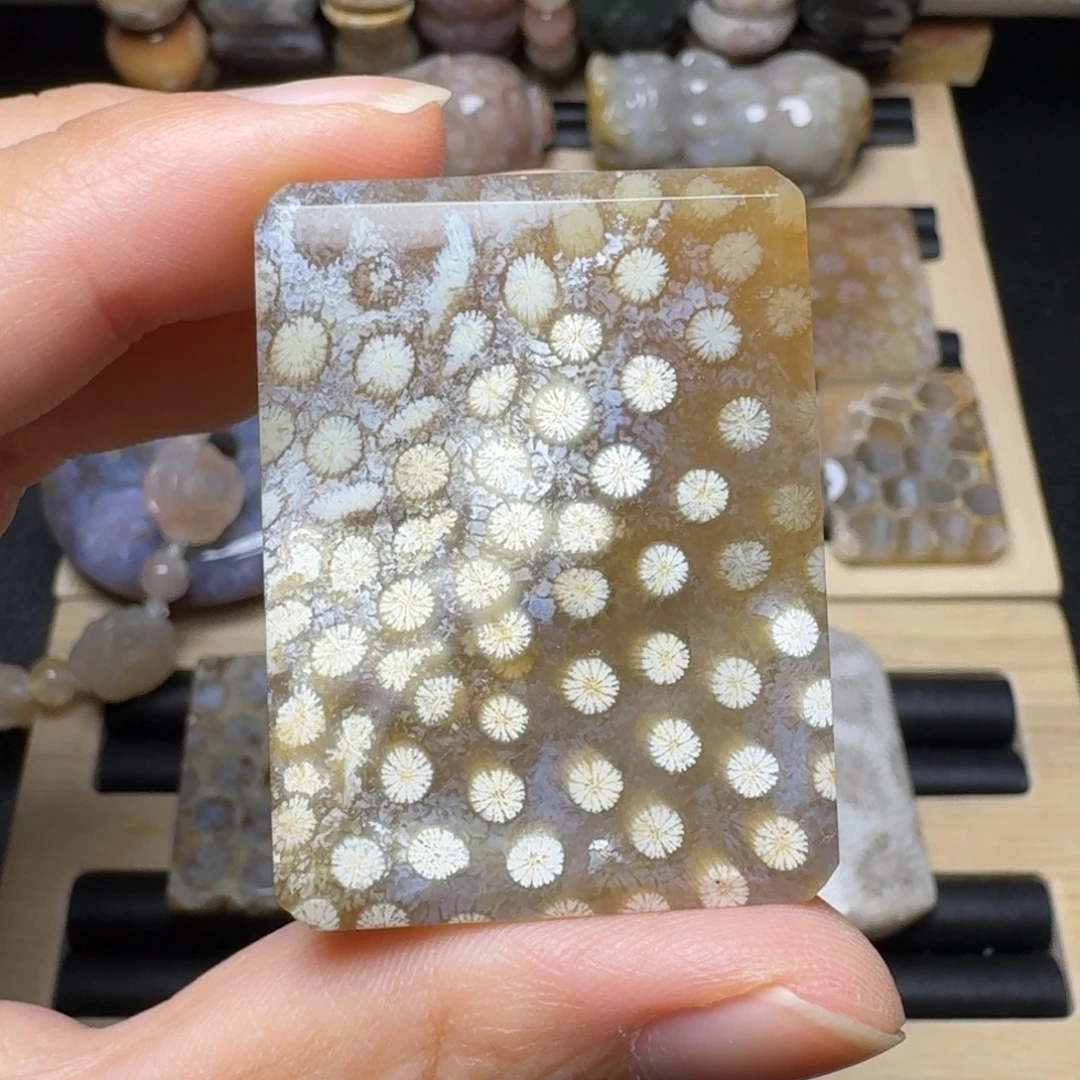 硅化玉未镶嵌糖底白皮花