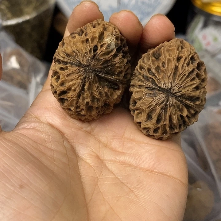 核桃云南铁核桃基地54