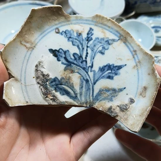 瓷片瓷片瓷片瓷片瓷片