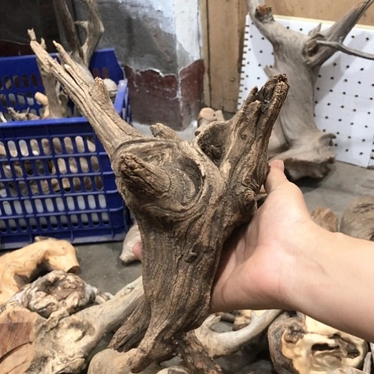 核桃木/黑胡桃（胡桃木）