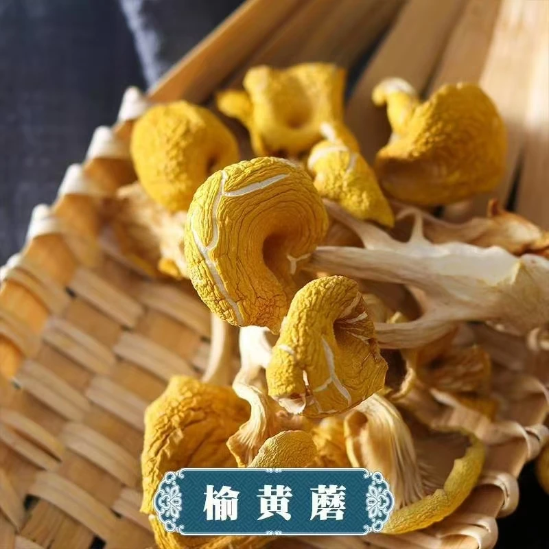 东北特产长白山榆黄蘑干货菌香浓郁营养美味鲜嫩多汁黑木耳干货