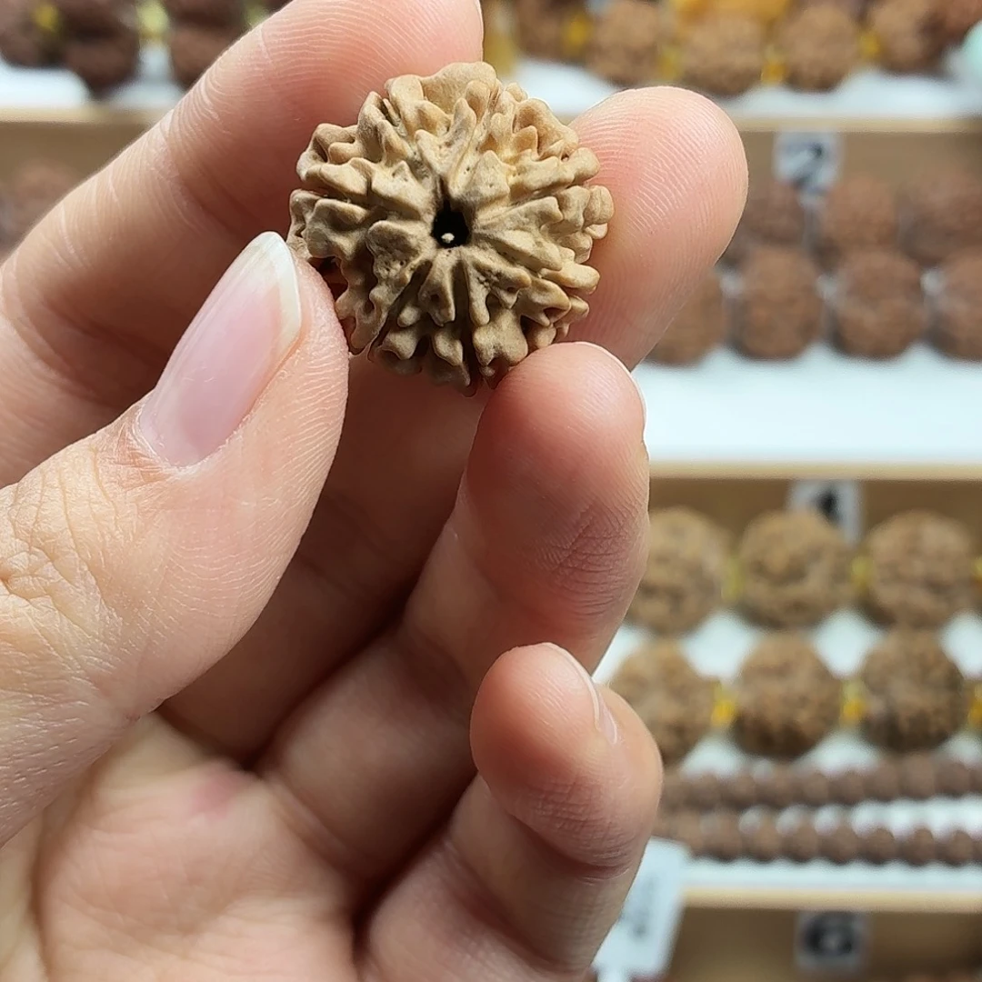 金刚菩提手串稀有精品7瓣磨盘铁籽