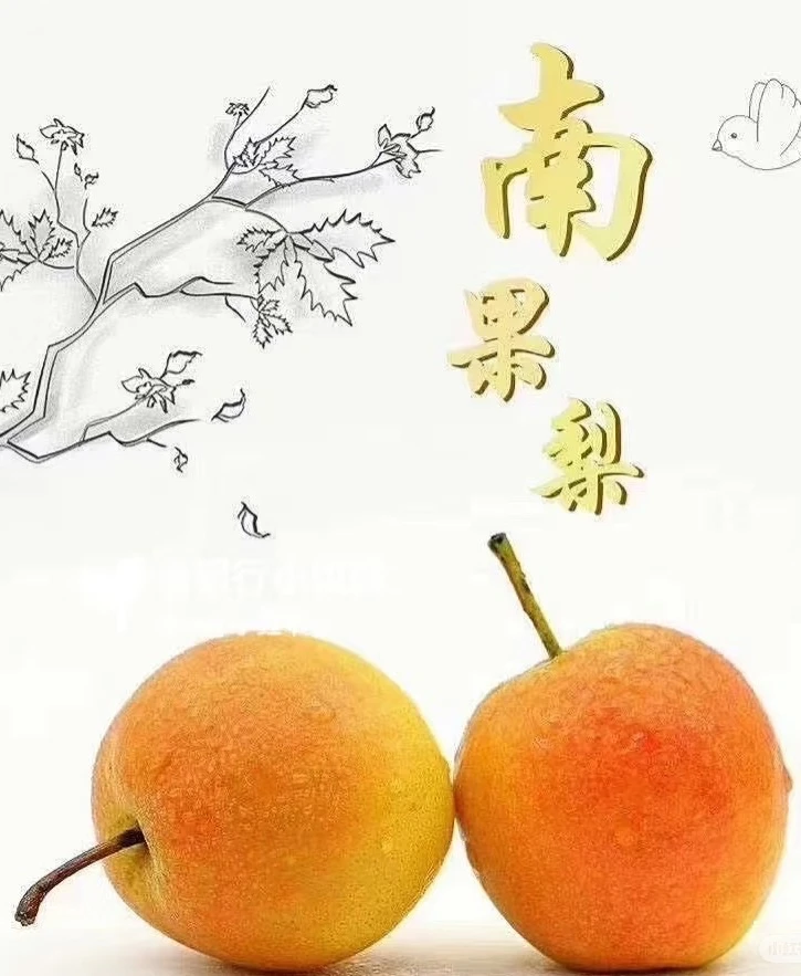 鞍山红南果梨新鲜应季水果酸甜多汁酒香软糯包邮