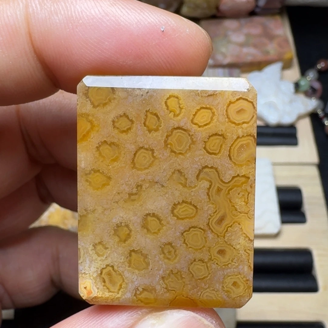 未镶嵌纯天然色有机玉石保真色硅化玉