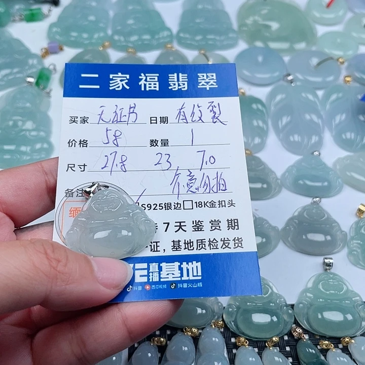 翡翠颈饰银S925镶嵌天然翡翠吊坠