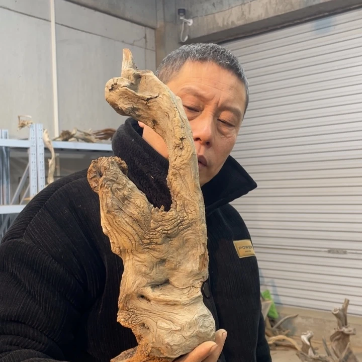 逍**主我们都是好孩子呀