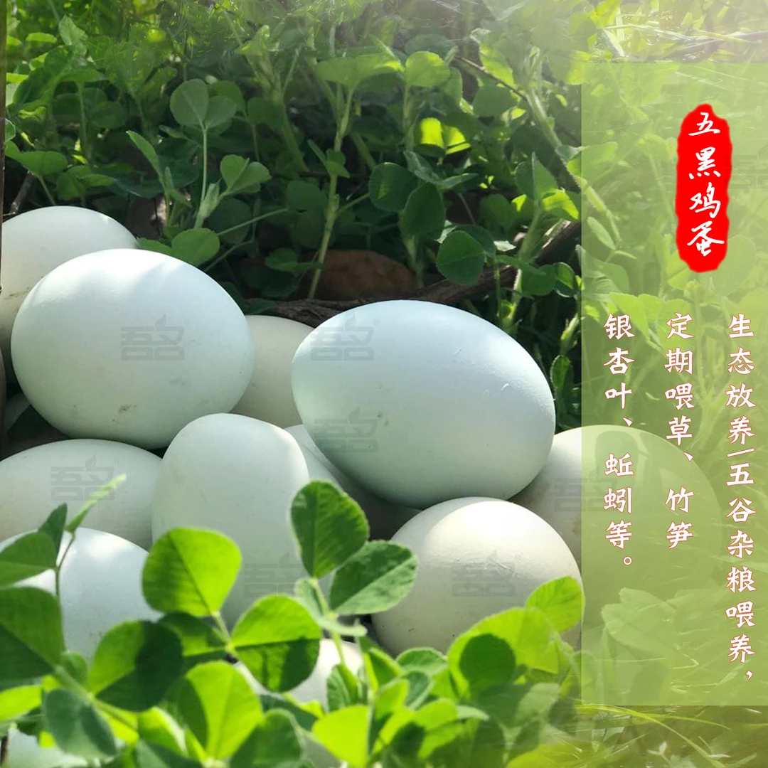 【绿壳乌鸡蛋】30枚/盒（注：收到请取出鸡蛋放冰箱冷藏保存！）