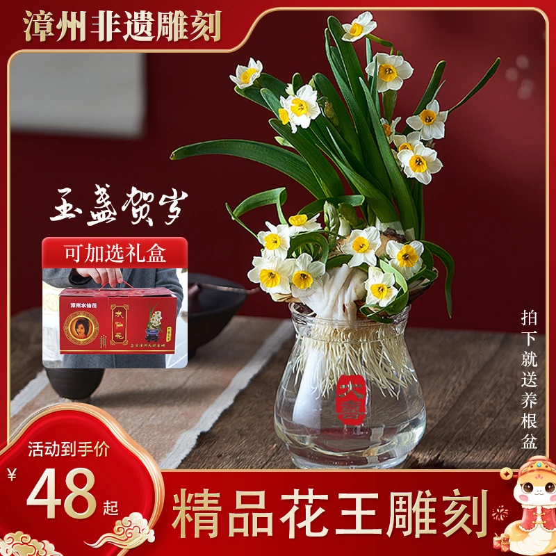 京东快递【玉盏贺岁】漳州非遗雕刻水仙花二次精雕造型年宵花送礼