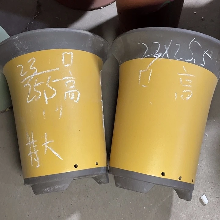 红陶紫砂真的中心