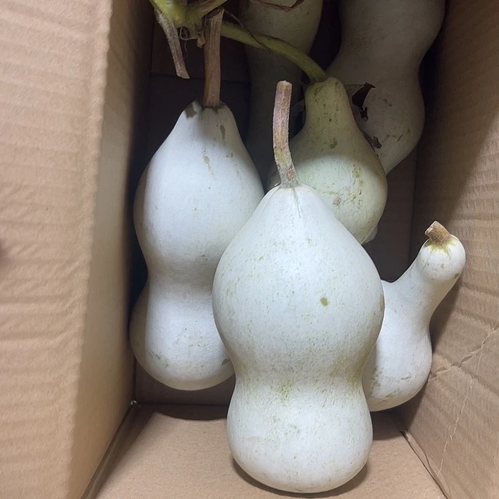 非洲紫檀（红花梨）海****9