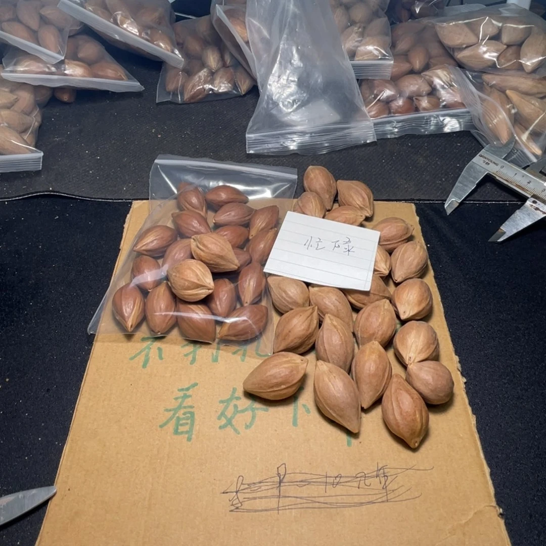 忙*不退不换aaaassss