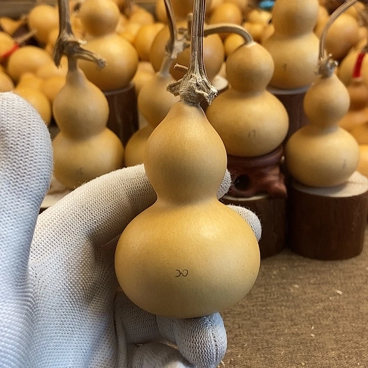 文玩葫芦 完美主义者 慎拍20