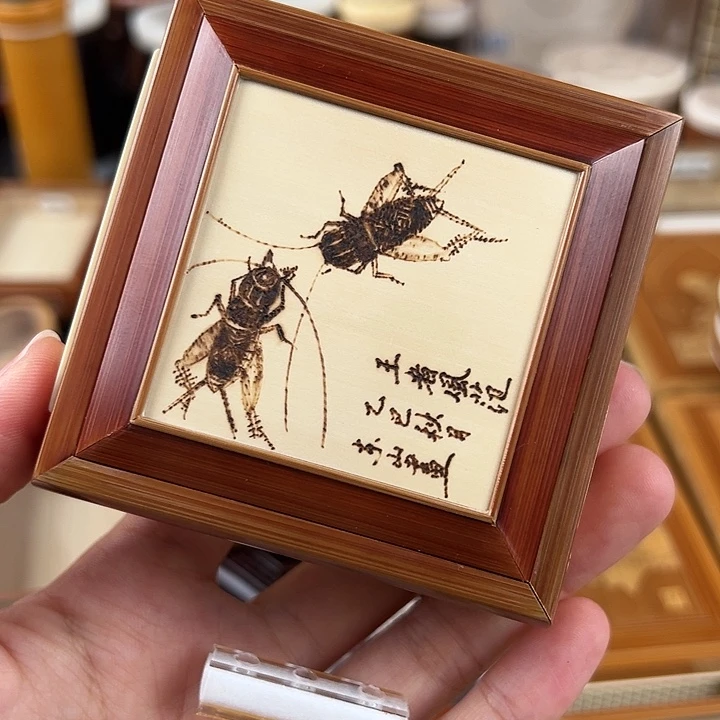 仅一天鸣虫虫具送加湿器