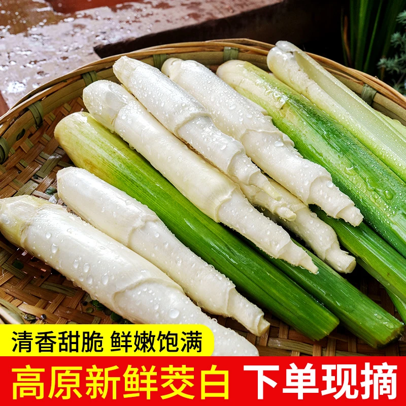 富民款庄新鲜生态高山茭白当季时令蔬菜保鲜发货