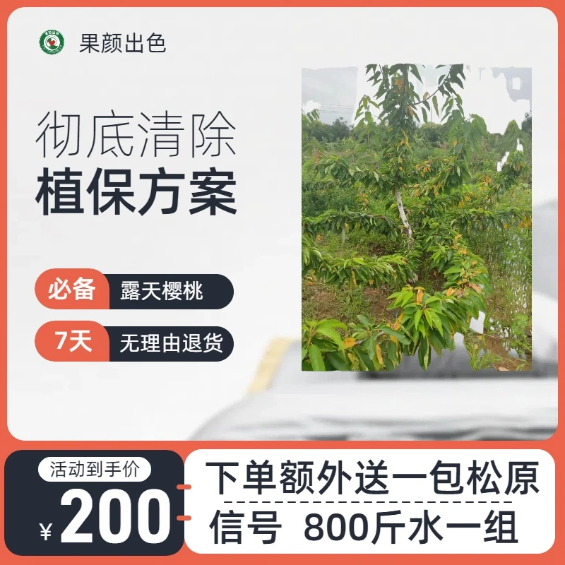 大楠楠 摘完樱桃植保方案 800斤水 下单送一包松原