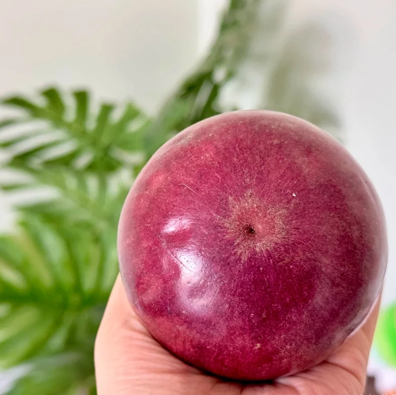 爆款组合！牛奶果+冰淇淋果 尝鲜装 应季新鲜水果